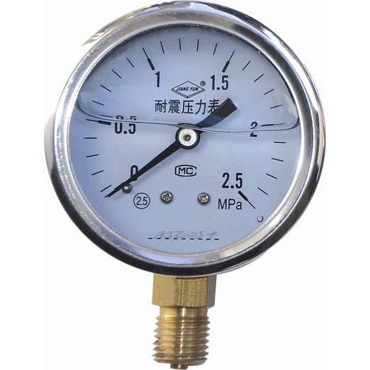 耐震壓力表